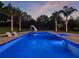 An inviting pool with a slide and lounge chairs, surrounded by lush greenery and palm trees at 3664 Farm Bell Pl, Lake Mary, FL 32746