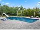 Inviting swimming pool with slide and chairs on a stone deck, surrounded by bamboo and lush greenery at 3664 Farm Bell Pl, Lake Mary, FL 32746