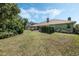 Lush backyard featuring a patio, healthy lawn, and privacy landscaping, creating a serene outdoor retreat at 907 Ridge Spring Ct, Apopka, FL 32712