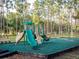 Fun-filled community playground with modern equipment, safety surfacing, and shade trees at 1204 Blackheath Ct, Davenport, FL 33897