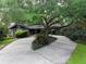 Charming home with a beautiful mature tree, inviting curb appeal and a spacious driveway at 6084 Masters Blvd, Orlando, FL 32819