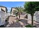 Backyard with a large palm, nice landscaping, white privacy fence, and brick pavers at 8111 Pacific Loon St, Winter Garden, FL 34787