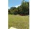 Expansive backyard with lush greenery, offering privacy and space for outdoor activities at 978 Commons Way, Port Orange, FL 32129