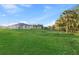 Large backyard featuring a well-maintained green lawn, palm trees, and neighboring houses in the distance at 108 Alta Vista Way, Davenport, FL 33837