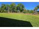 Large, well-maintained backyard with lush green grass and freshly planted trees at 1169 Happy Forest Loop, Deland, FL 32720