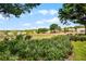 Beautiful backyard view with lush landscaping and a glimpse of the serene lake at 14723 Peppermill Trl, Clermont, FL 34711