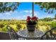 Covered lanai features a table, chairs, and a stunning garden view with clear blue skies at 14723 Peppermill Trl, Clermont, FL 34711