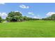 Lush green golf course with blue sky and puffy clouds at 216 Hammock Oak Cir, Debary, FL 32713