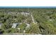 Bird's eye view of home nestled in a lush, green neighborhood; trees provide ample privacy at 246 N Oak Ave, Orange City, FL 32763