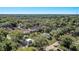 Aerial perspective showcases a property's lush surroundings, offering privacy and a sense of seclusion at 246 N Oak Ave, Orange City, FL 32763