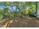Picturesque backyard with mature trees and natural landscaping providing privacy at 4000 Rouse Rd, Orlando, FL 32817
