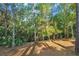 The spacious backyard features mature trees, offering shade and privacy at 4000 Rouse Rd, Orlando, FL 32817