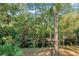 Lush and private wooded property with mature trees and creek at 4000 Rouse Rd, Orlando, FL 32817