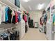 Large walk-in closet with organized shelving, clothing racks, and carpet flooring for ample storage at 4000 Rouse Rd, Orlando, FL 32817