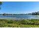 Expansive lake view with lush vegetation and clear blue skies, perfect for serene living at 709 Cricklewood Ter, Lake Mary, FL 32746