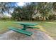 Outdoor picnic table with attached benches perfect for gatherings in a community green space at 7351 Spring Mountain Ln, Yalaha, FL 34797