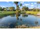 Peaceful pond surrounded by landscaping, trees, and nearby houses, reflecting blue sky and palm trees at 7351 Spring Mountain Ln, Yalaha, FL 34797