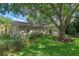 Landscaped front yard with a large shade tree and well maintained lawn at 1105 Lake Nettie Dr, Eustis, FL 32726