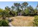 Spacious backyard featuring a storage shed, surrounded by lush greenery and mature trees at 14378 Stamford Cir, Orlando, FL 32826