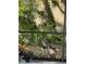Backyard view of a wild turkey in the yard, as seen through a screened patio at 1689 Saboff Way, Chuluota, FL 32766