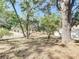Spacious backyard featuring mature trees and a privacy fence, great for outdoor activities at 6508 Coral Cove Dr, Orlando, FL 32818