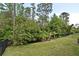 A well-maintained backyard showcasing lush greenery, a dark metal fence and mature trees at 8742 Peachtree Park Ct, Windermere, FL 34786
