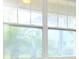 View of the backyard through a bright window at 8742 Peachtree Park Ct, Windermere, FL 34786