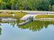 Scenic view of a boat ramp with a wooden dock surrounded by lush greenery and calm water at 16808 Bolsena Dr, Bella Collina, FL 34756