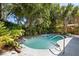 Beautiful backyard pool surrounded by lush tropical landscaping and concrete decking at 2623 Parsley Dr, Orlando, FL 32837