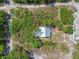 Aerial view of the property surrounded by mature trees, showing the house and shed at 2651 Sunrise Blvd, Mount Dora, FL 32757