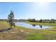 Serene pond view surrounded by lush greenery, creating a tranquil and picturesque setting at 646 Longboat Dr, Davenport, FL 33896