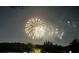 Vibrant fireworks bursting in the night sky above silhouetted trees and a distant building at 8778 Peachtree Park Ct, Windermere, FL 34786