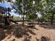 Community playground featuring slides, climbing structures, picnic tables and shade trees at 3420 Gerber Daisy Ln, Oviedo, FL 32766