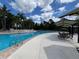 Community pool with lounge chairs, palm trees and plenty of room for sunbathing at 3420 Gerber Daisy Ln, Oviedo, FL 32766