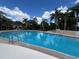 Beautiful community pool with palm trees, clear blue water, and inviting features for relaxation and recreation at 3420 Gerber Daisy Ln, Oviedo, FL 32766