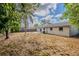View of spacious backyard showcasing mature palm tree and a large grassy area at 4805 Okeefe St, Orlando, FL 32808
