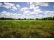 Scenic lake view with a lush green field and a serene horizon under a bright, partly cloudy sky at 5384 Barton Dr, Orlando, FL 32807