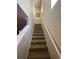 Carpeted staircase leading to upper level, featuring white railing and natural lighting at 6327 Southbridge St, Windermere, FL 34786