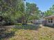 Home exterior with lush greenery in the backyard, enhanced by a storage shed and clothesline at 1531 Jefferson Dr, Mount Dora, FL 32757