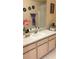 Bathroom with a neutral color scheme, decorative mirrors, and an elegant orchid at 5471 Vineland Rd # 7109, Orlando, FL 32811