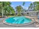 Large backyard pool is surrounded by lush landscaping and a play structure at 216 E Vanderbilt St, Orlando, FL 32804