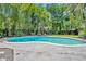 The lagoon-style pool and surrounding palm trees provide a backyard oasis at 216 E Vanderbilt St, Orlando, FL 32804