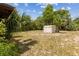 Backyard shed surrounded by lush greenery with ample room for storage at 255 Katrina St, De Leon Springs, FL 32130