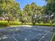 Outdoor basketball court surrounded by lush green trees at 2983 Park Meadow Dr, Apopka, FL 32703