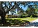 View of the yellow home and yard from the street under a large tree at 36019 Clear Lake Dr, Eustis, FL 32736