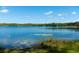 Waterfront view of a beautiful lake during the daytime at 36019 Clear Lake Dr, Eustis, FL 32736