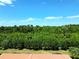 Expansive aerial view of lush treetops stretching over the horizon on a sunny day at 5510 Siracusa Ln, Sanford, FL 32771