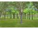 Beautiful backyard with a lake and an array of trees at 5510 Siracusa Ln, Sanford, FL 32771