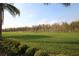 Expansive backyard featuring lush greenery and a serene lake at 5510 Siracusa Ln, Sanford, FL 32771