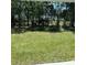 Beautiful backyard featuring lush green grass and mature trees, perfect for outdoor enjoyment and privacy at 976 Commons Way, Port Orange, FL 32129